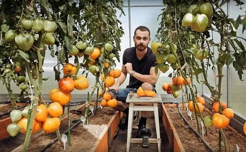 Инком партнер