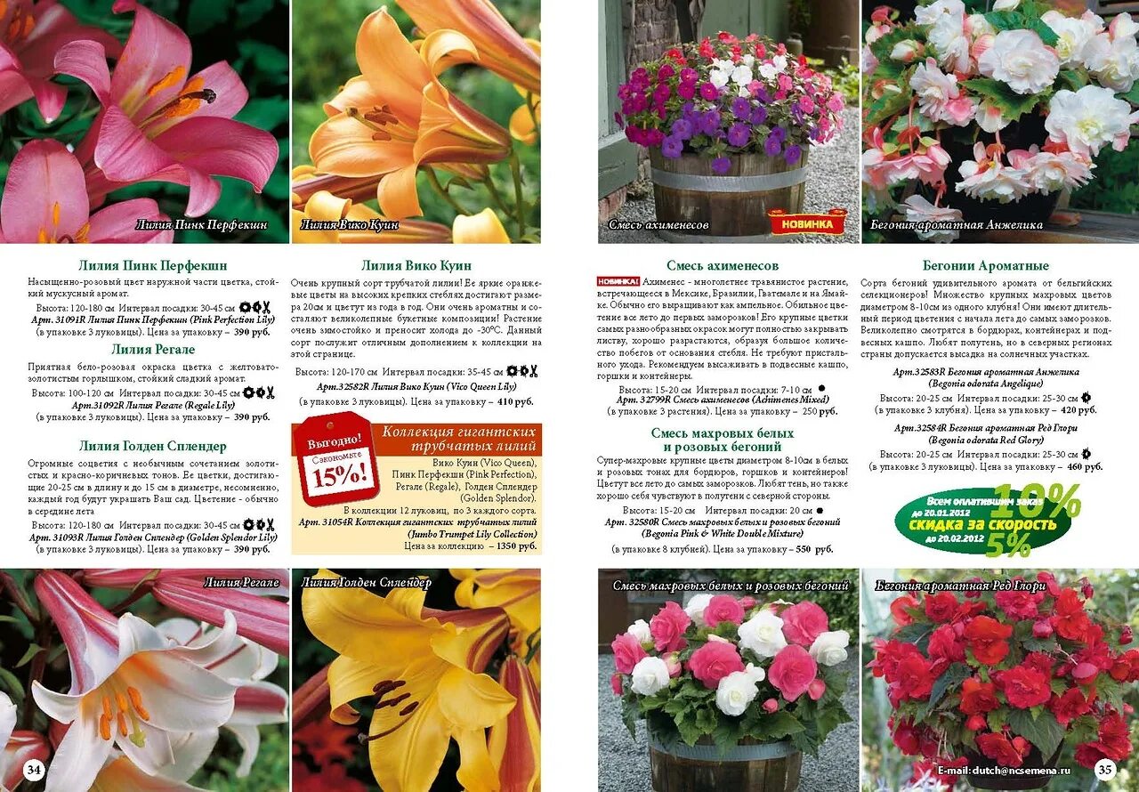 Интернет магазин семян и саженцев 2022. Русский огород. Ncsemena ru интернет магазин моя корзина. Интернет магазин семян и саженцев 2022. Русские семена интернет магазин.