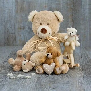 Teddy s