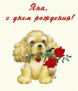 С днем рождения яне владимировне