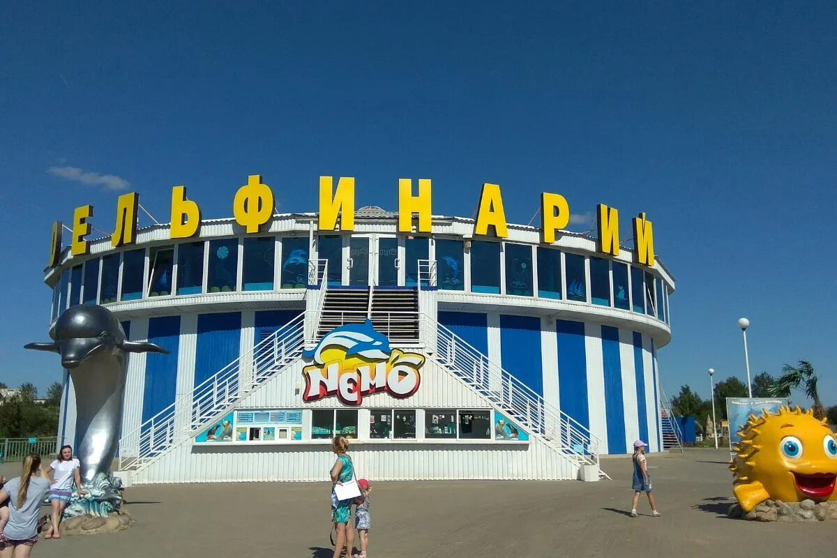 Павильон экзотариум. Дельфинарий немо. Дельфины в дельфинарии немо фото. Тошкент акванарюм. Немо ташкентская ул 40 минск фото.