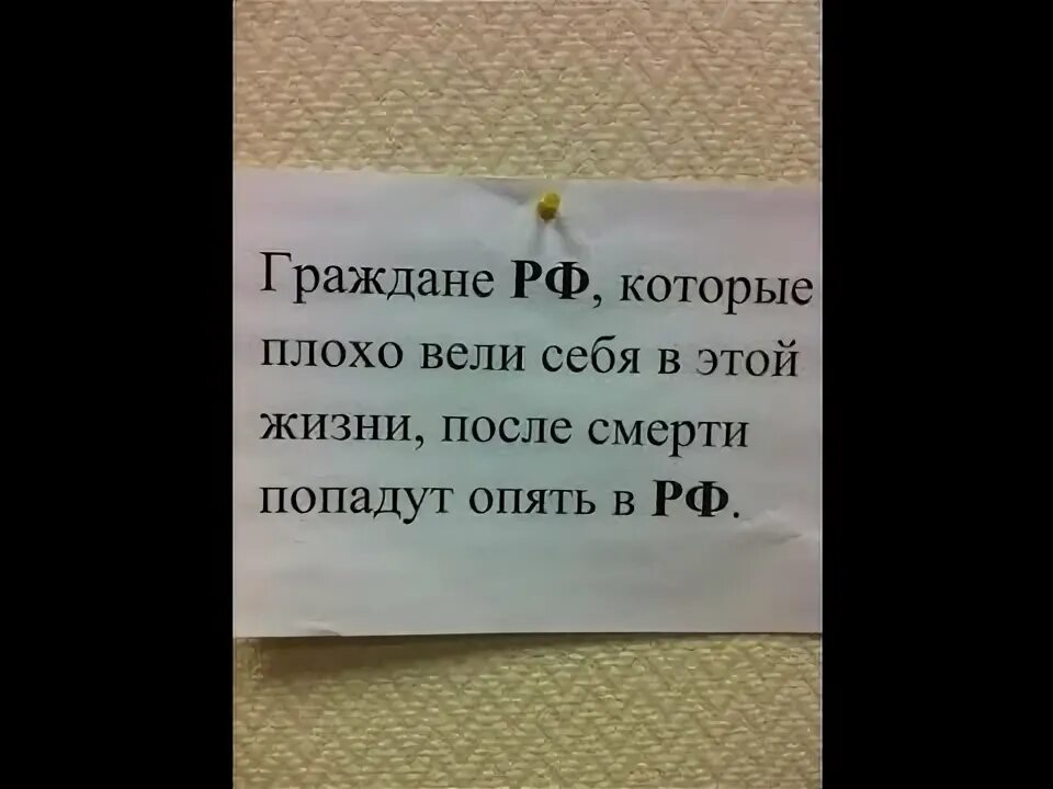 Граждане РФ которые плохо вели себя. Граждане РФ которые плохо вели себя в этой жизни после смерти попадут. Жители РФ которые плохо себя вели. Граждане России которые плохо себя вели.