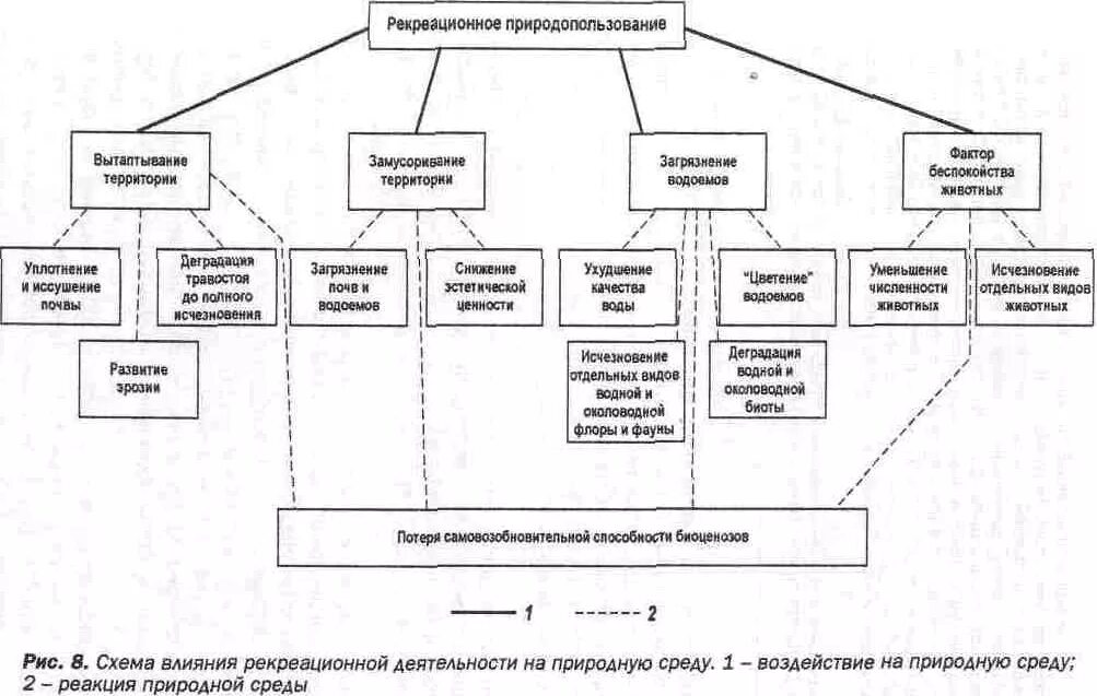 Схема влияния рекреационной деятельности на природную среду. Классификация рекреационных территорий. Рекреационный Тип природопользования. Рекреационного природопользования схема. Рекреационное природопользование