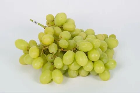 Виноград кишмиш белый