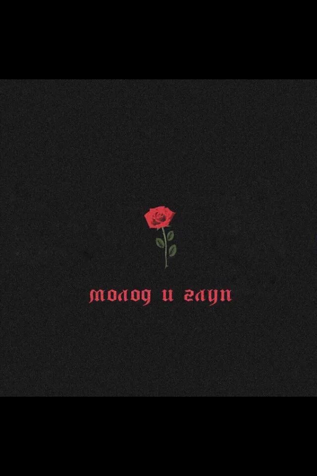 Молод и глуп botg. Молод и глуп. молод и глуп обои. надпись молод и глуп.