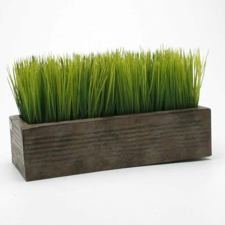Grass box. Кашпо икеа осока. grass box микрозелень. длинный горшок для цветов. декоративная трава в горшках.