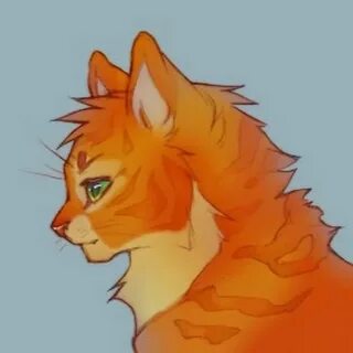 Коты воители огонек
