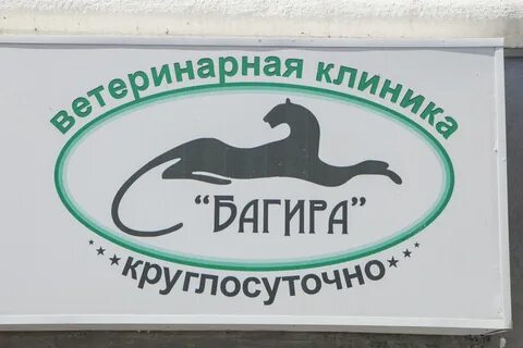 Ветклиника багира