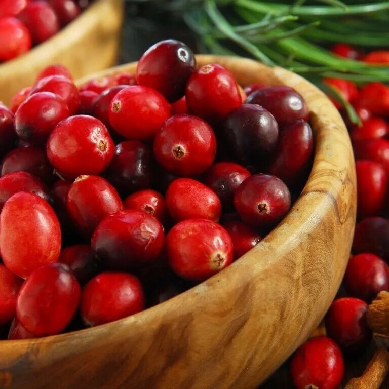Что такое клюква. Клюква Рубиновая россыпь. Cranberries ягода. Клюква фрукт. Клюква в питании.