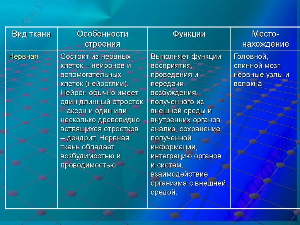 Ткань особенности строения функции таблица. Нервная ткань особенности строения и функции. Особенности нервной ткани. Особенности нервнойтакани. Нервная ткань таблица.