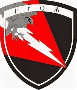 Эмблема отряда. Отряд неугомон девиз. Эмблемы на 23 февраля для команды. Девиз гром. Гром кричалка для команды.