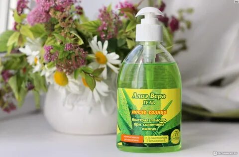 Солнечное алоэ