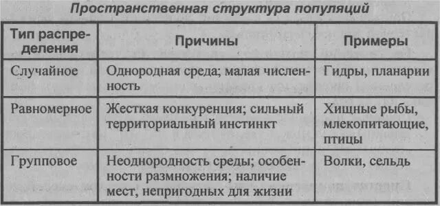 3 примера по структуре Древовидная структура виды: найдено 85 изображений