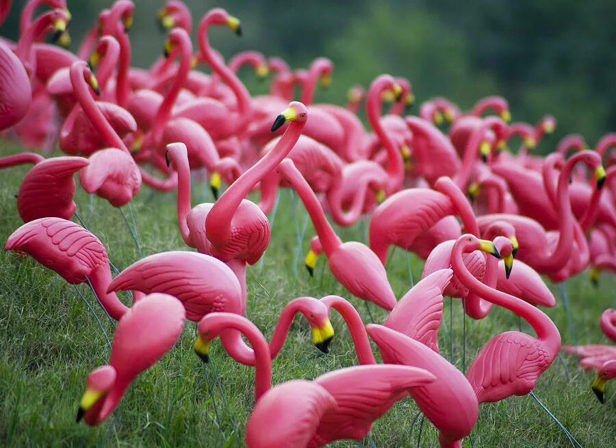 какой парень алиса. какой парень алиса. алиса у тебя есть парень парень. какой парень алиса. алиса парень.