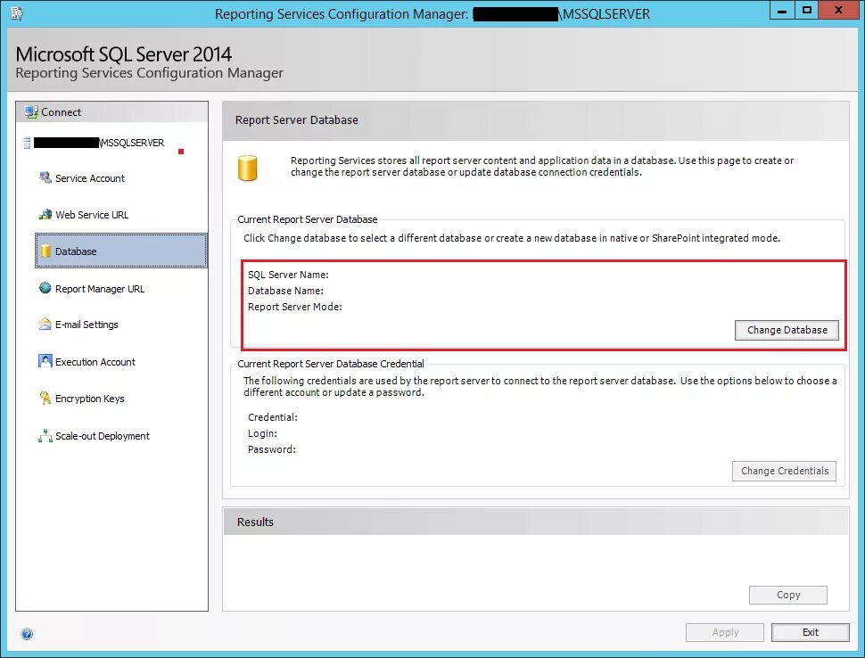 Sql server native. Отчет service manager. sql reporting services 2019. database в reporting services manager 13. на сервере отчетов reporting services можно.