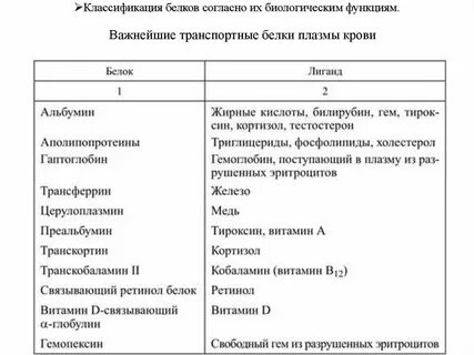2 функции белков плазмы