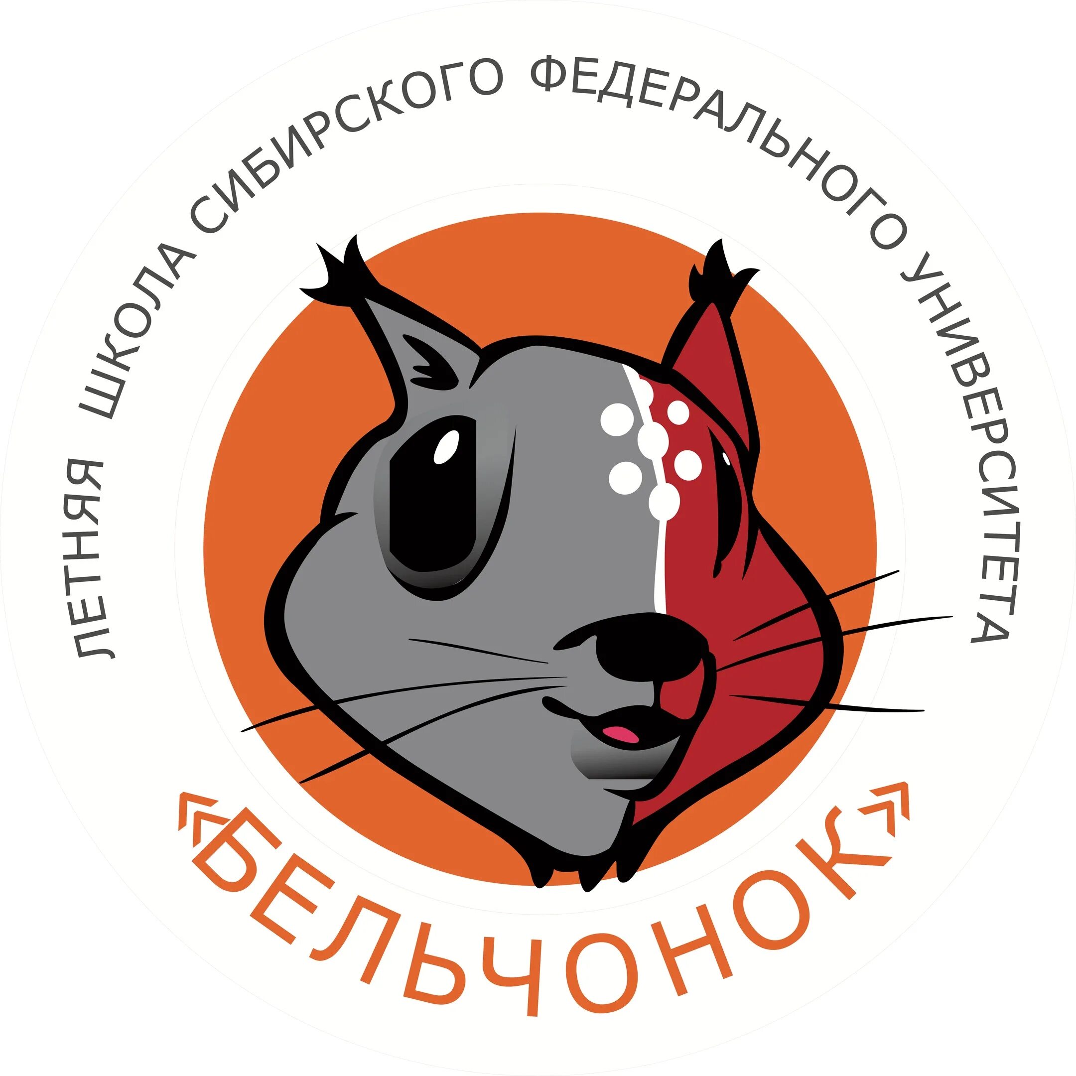 Бельчонок информатика. Белка сфу. бельчонок. бельчонок сфу.