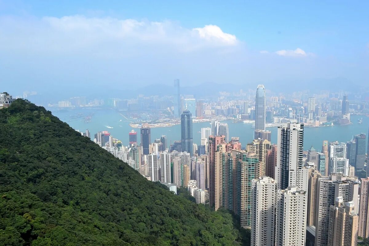 таблица гонконга