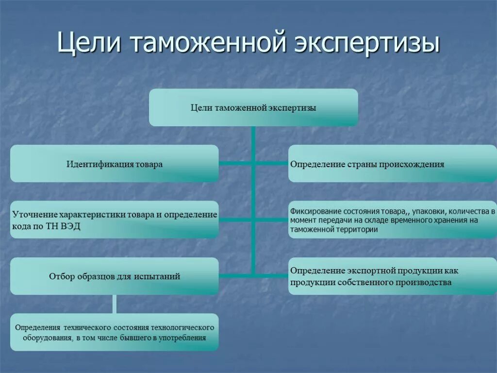 Основные направления экспертизы. Методы таможенной экспертизы. Проведение таможенной экспертизы схема. Классификация таможенных экспертиз. Таможенная экспертиза схема.