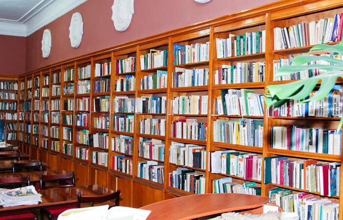 твардовского 3 смоленск. библиотека имени твардовского смоленск. большая советская смоленск библиотека. ленинская библиотека смоленск. отделы библиотеки.