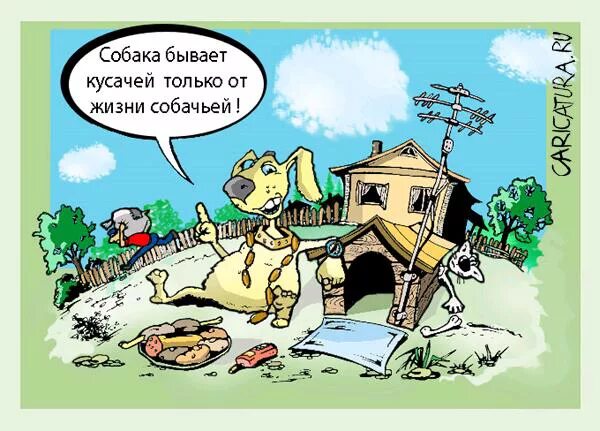 А не только от