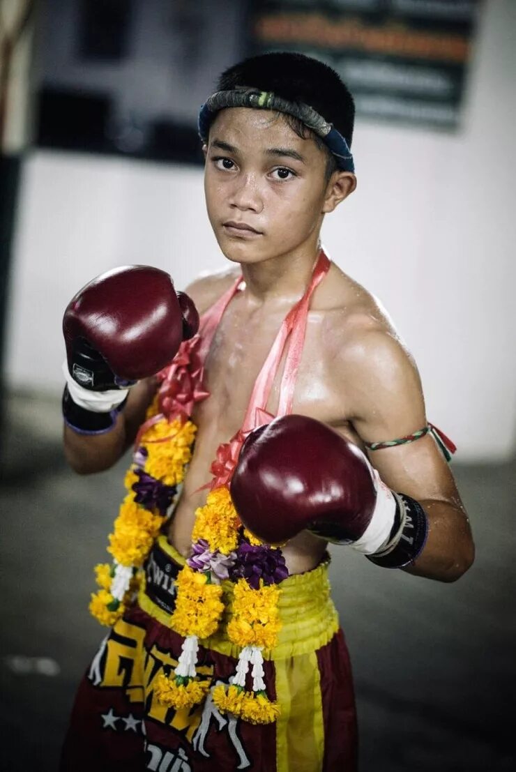 детские бойцы. ребенок боксер. мальчик в боксерских перчатках. бокс дети. смешанные единоборства мма дети.