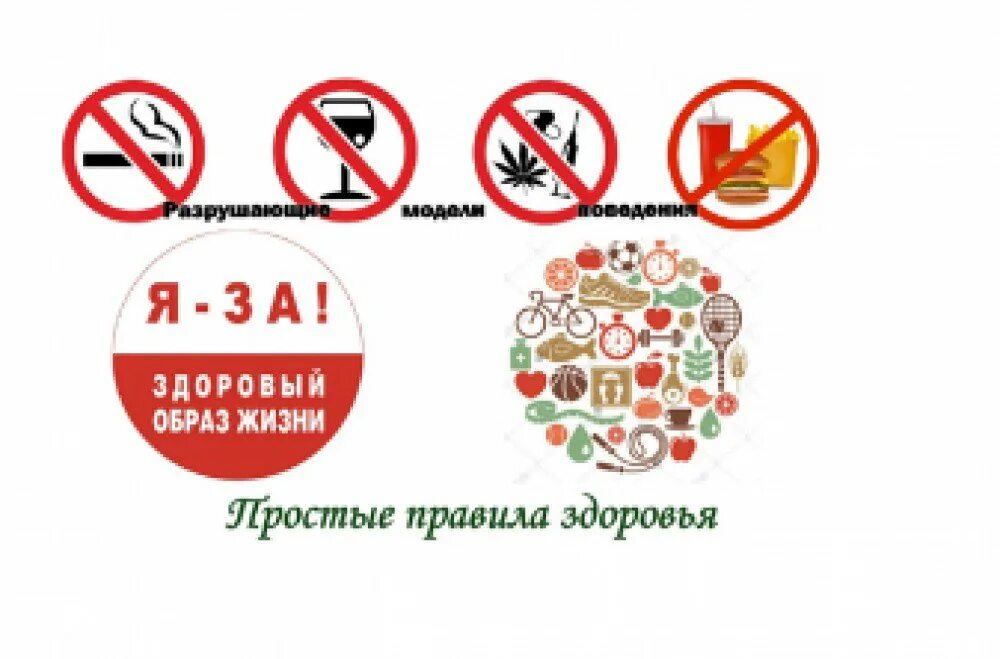 Волшебные правила здоровья. Правила здоровье человека. Правило здоровья. Правило здоровья. Мои правила здоровья.