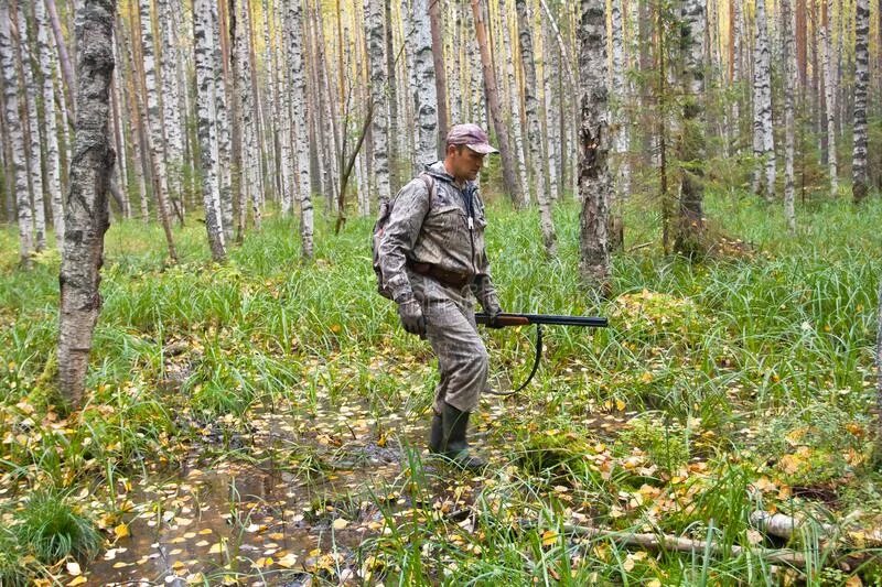 Охотник шел весь день и почти всю. Охотник идет по лесу. охотник идет по болоту. охотник в лесу зеленом. упражнение охотник идет по болоту.