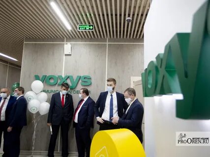Voxis