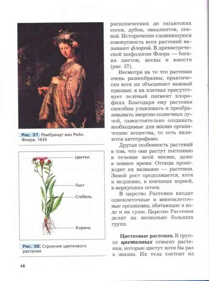 Учебник по биологии 5 плешаков. Биология 5 класс учебник пономарева. Биология 5 класс параграф 9 пасечник. Учебник по биологии 5 класс. Биология 5 -6 класс учебник пасечник строение бактериальной клетки.