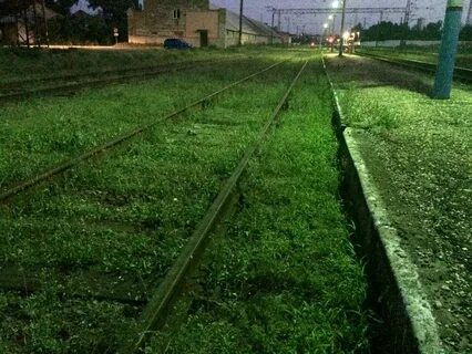 Станция урожай