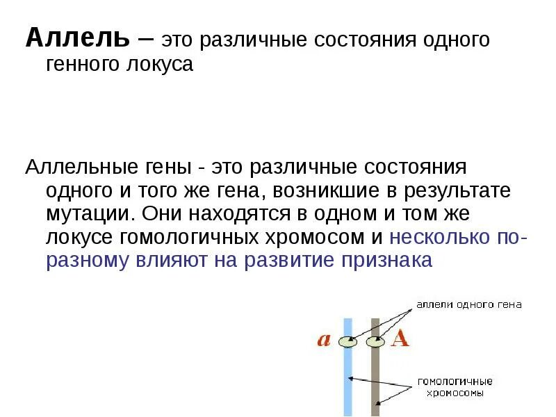 Какое число признаков определяется одним аллелем