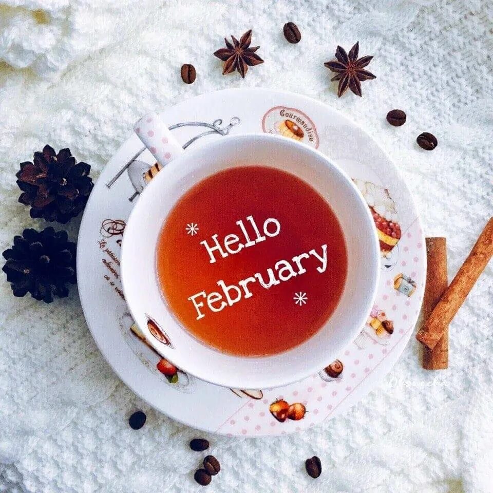 Хелло февраль. Hello февраль. Hello February картинка. Hello February красивые. Hello february