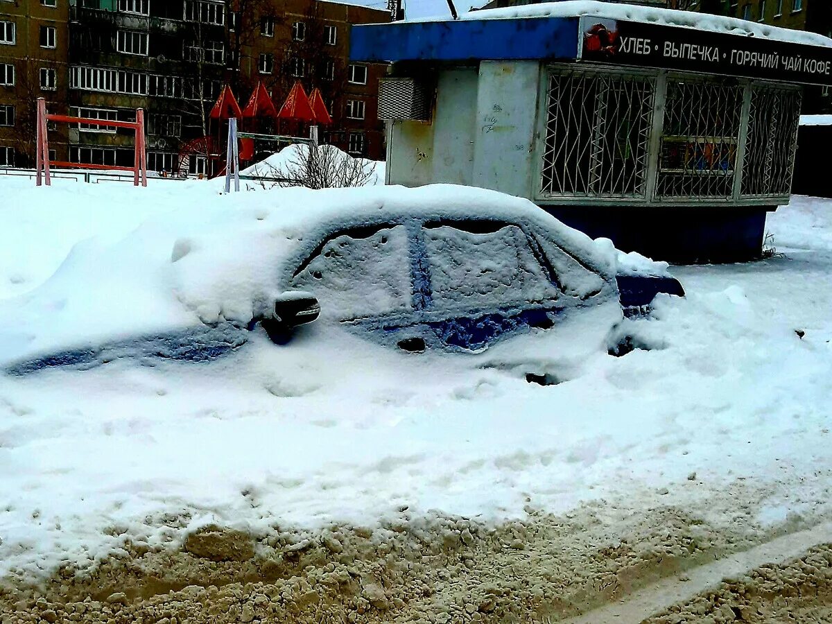 Само растает. Сугробик. Зимует.