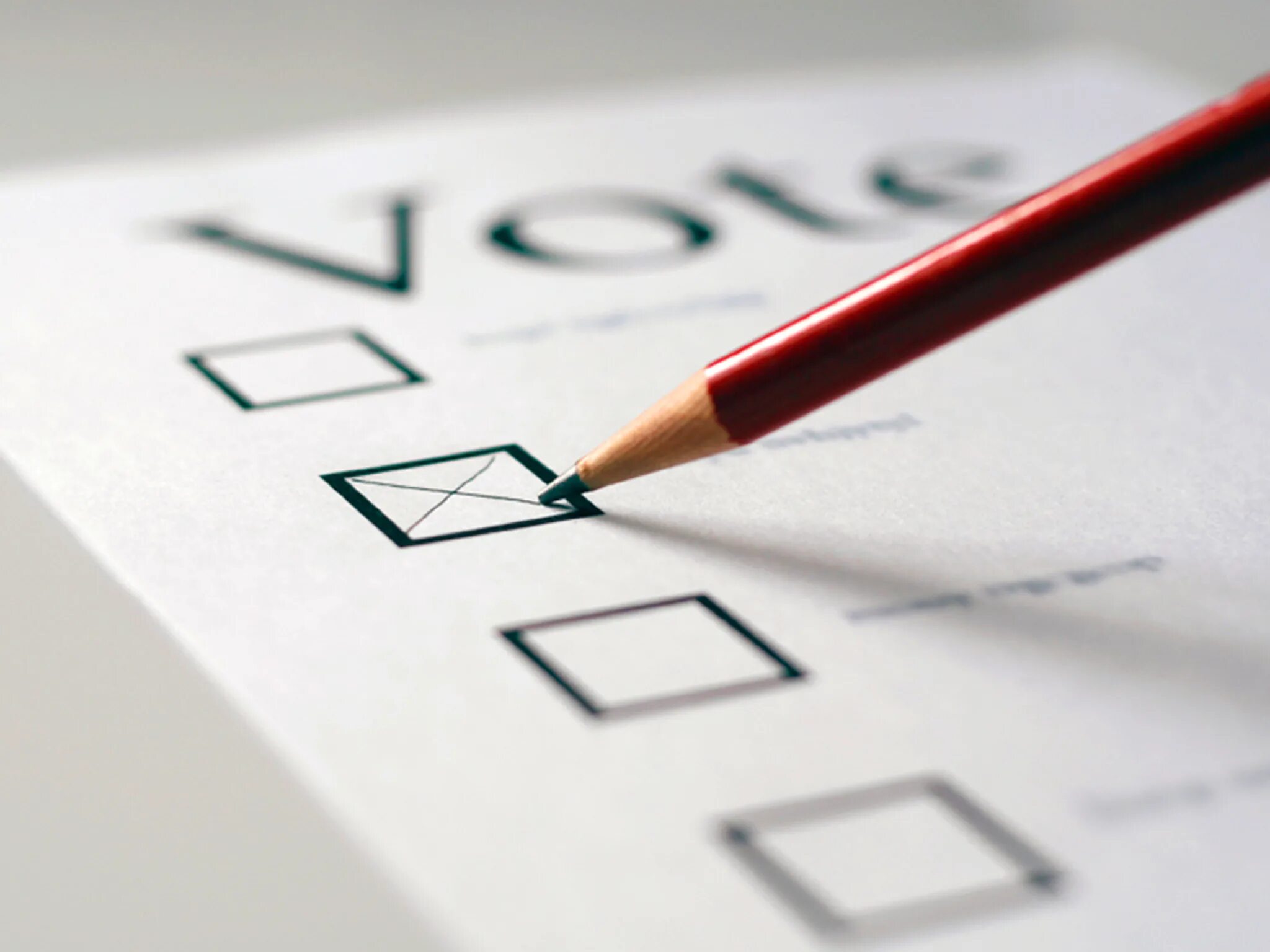 Voting. Vote. election voting. выборы без фона. election picture.