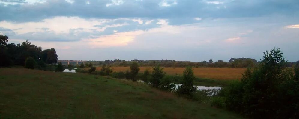 Деревня волчки. Деревня волчки