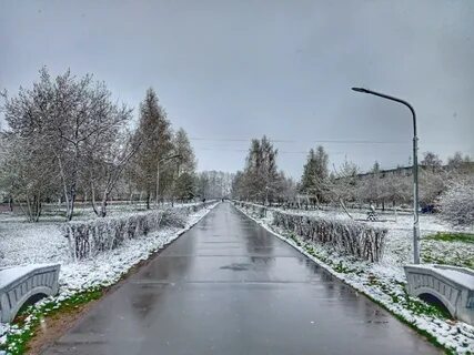 Холодный год хлебородный