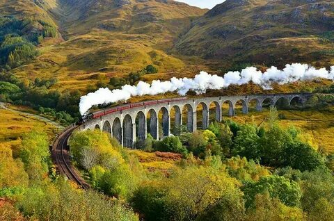 The trains may