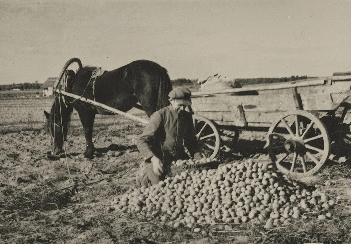 Деревня 1930. Деревня 20-е годы. Деревня монастырка 30 е годы. Деревенский дом в белоруссии 1940е. Деревня до вов.