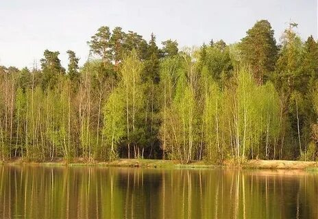 Ближайшее озеро