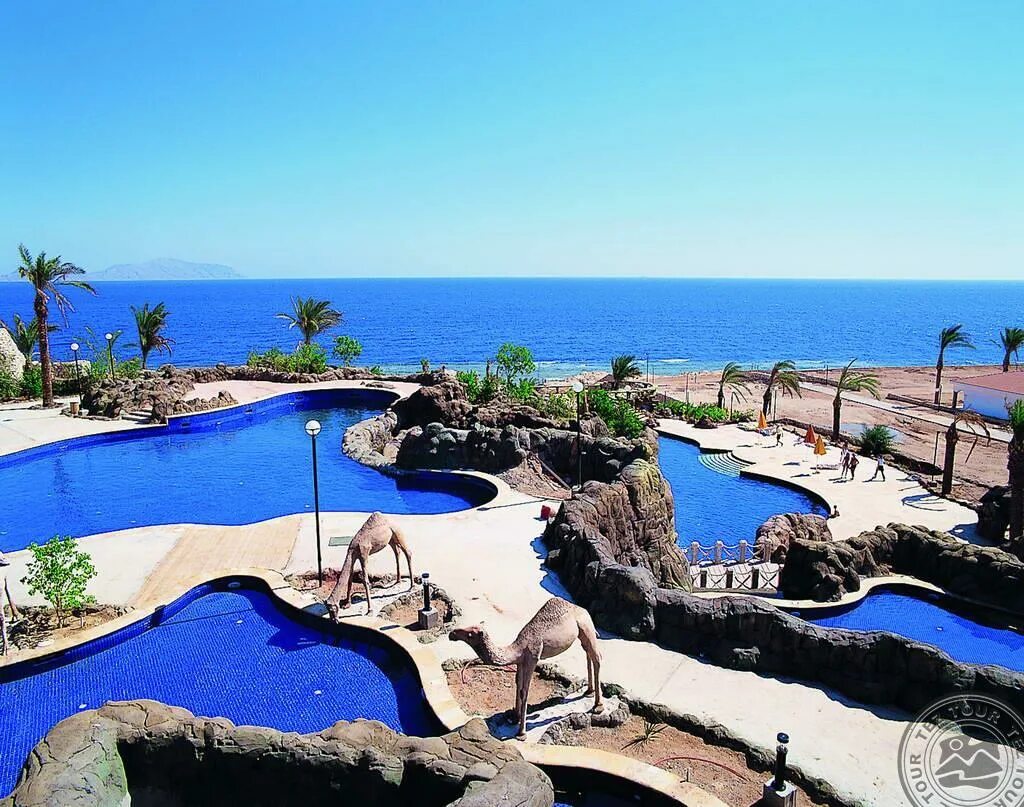 Sheraton sharm main build. Отель шератон шарм-эль-шейх. отель sheraton sharm resort 5. отель шератон шарм резорт шарм-эль-шейх. sheraton sharm hotel, resort, villas &amp; spa (resort) 5*.