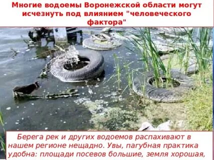 Как можно исчезнуть