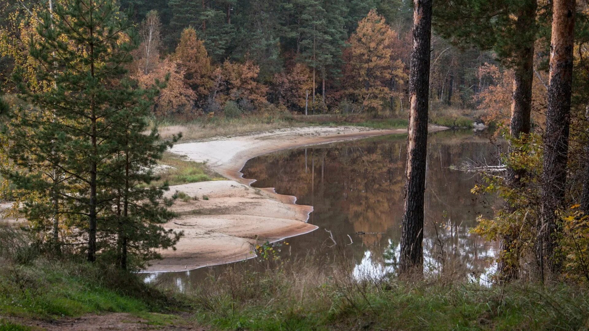 Печорка. Национальный парк мещерский река пра. Река мещера. Роман киприянова онега. Река пра мещера.