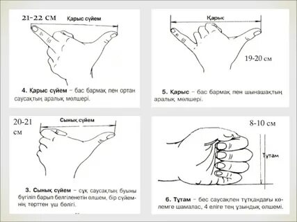 Қыздың жыныс мүшесінің ұрығы