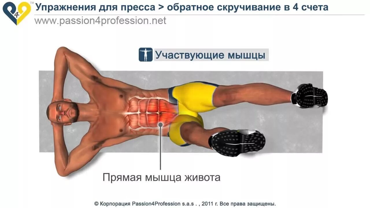 Пресс 1 уровень. Упражнения для мышц низа живота для мужчины. Нижний пресс мышцы. Упражнения на Нижний пресс. Короткие скручивания на пресс.