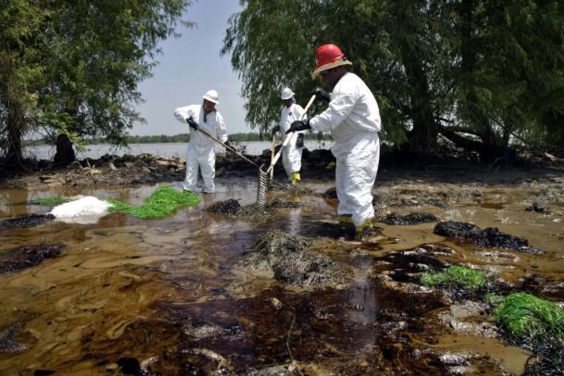 Стой грязная вода. Загрязненная река Миссисипи. Миссисипи грязная река. Миссисипи, США загрязненная река. Загрязнение рек.