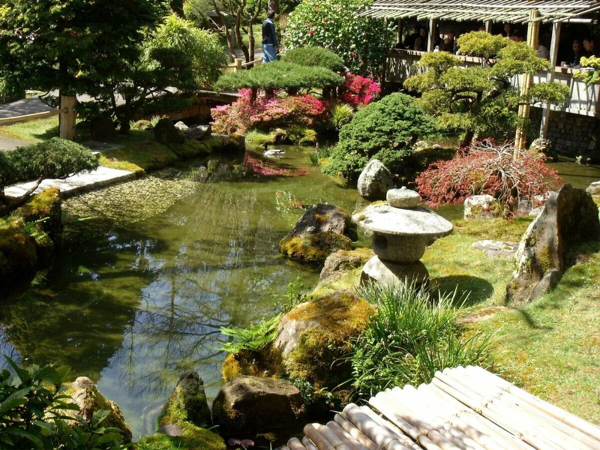 Экодизайн ландшафтный. Садовый ландшафт. Около эрин лау ландшафтный дизайнер. Загородный дом с садом. Вишневый сад на даче фото.