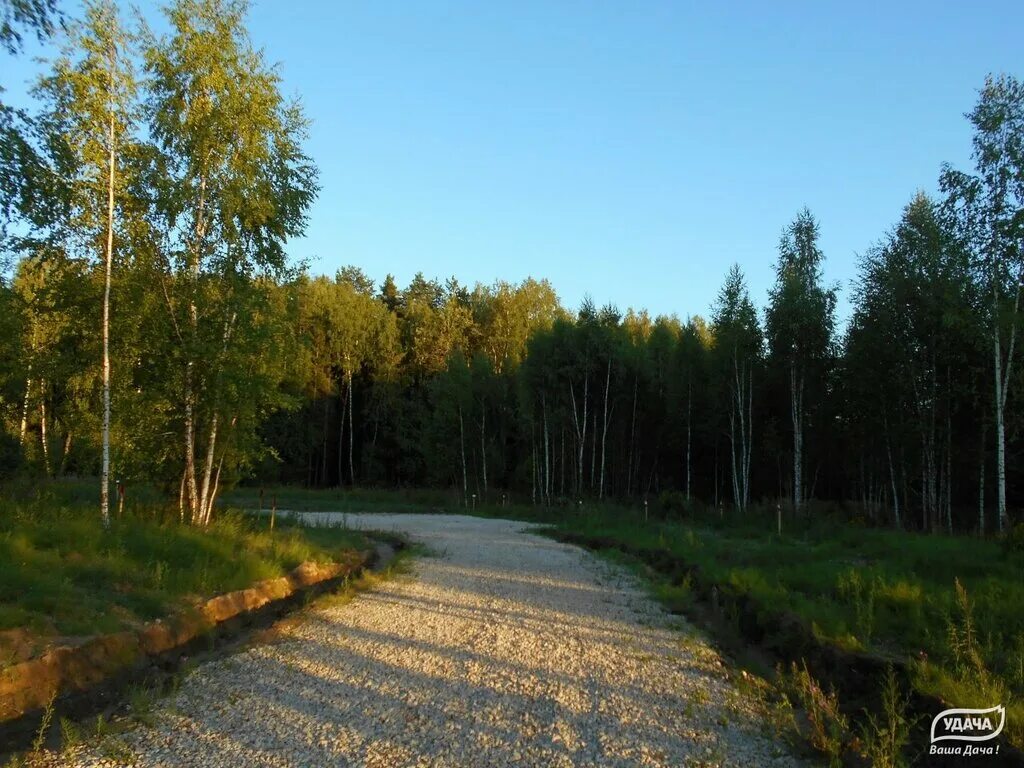 снт хрустали малоярославецкого района. дачный поселок хрустали калужская область малоярославецкий район. дачный поселок хрустали калужская область малоярославецкий район. хрустали малоярославецкий район. дачный поселок хрустали калужская область малоярославецкий район.