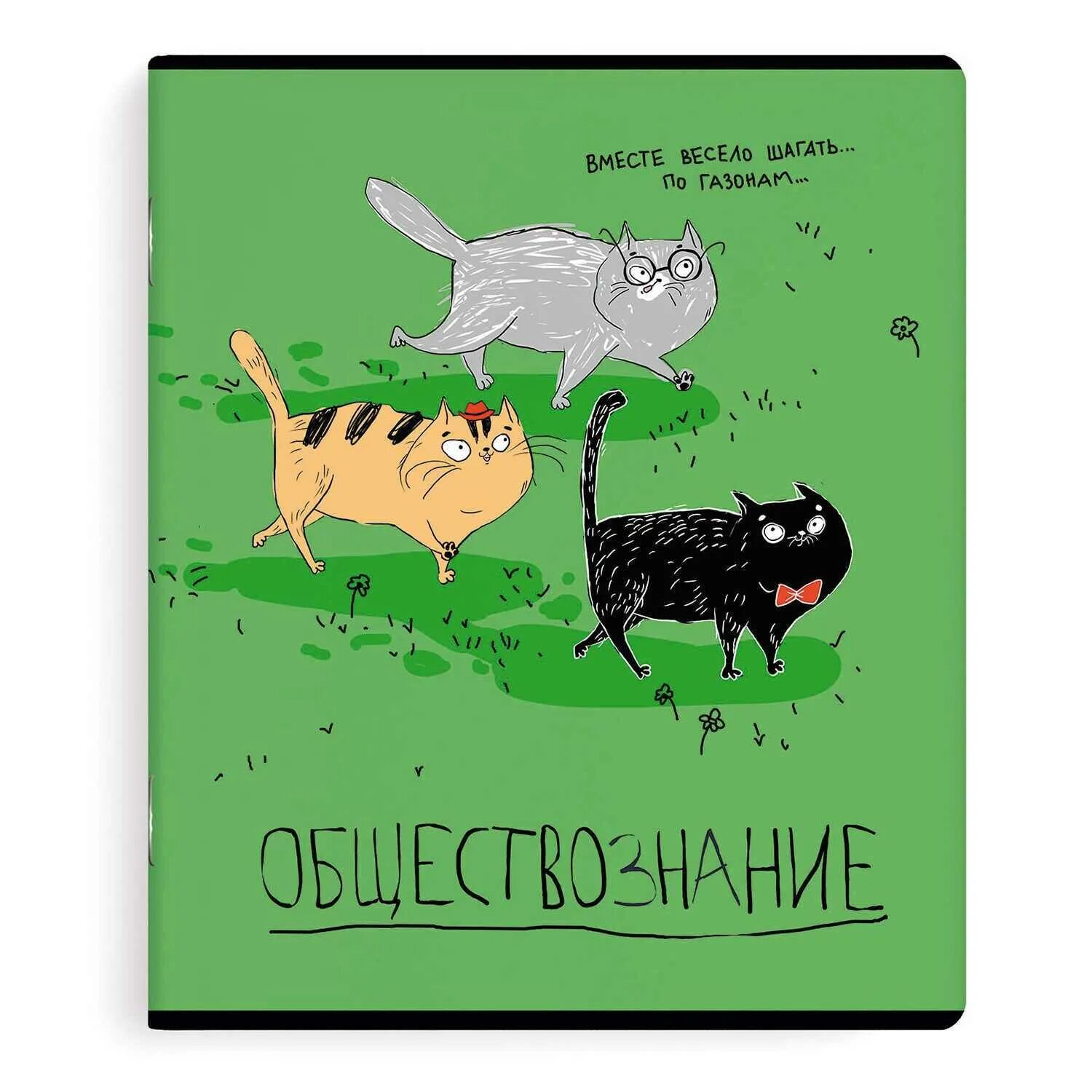 обществознание и котики. котёнок с книжкой. кот читает. тетради предметные 48 с котами. кот читает книгу.