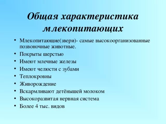 Выберите общий признак млекопитающих. Характеристика млекопитающих. Общая хар-ка млекопитающих. Общая характеристика моекопи. Основная характеристика млекопитающих.